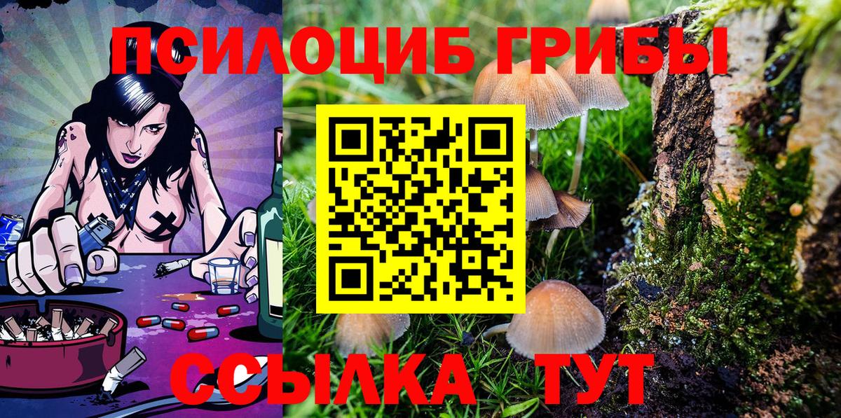 Галлюциногенные грибы Psilocybe  Вход с VPN  Хабаровск 